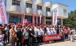 Tez Koop İş: ODTÜ Grevde, Rektör tatilde
