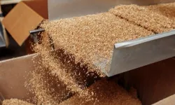 İşte ekonomideki yabancı pay! Yabancı kontrollü girişimde Almanya lider