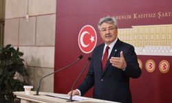 İYİ Parti Milletvekili Metin Ergun: Seydikemer'deki alabalık üreticileri mağdur oluyor