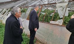 Muğla'da Hortum ve dolu felaketi: İYİ Partili Metin Ergun'dan, Tarım bakanına soru önergesi