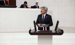 İYİ Partili Metin Ergun'dan Milli parklar uyarısı: Doğayı ticarileştiren anlayışı reddediyoruz