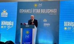 İYİ Parti Genel başkanı Dervişoğlu Osmaneli'nde iftara katıldı