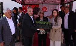 Keçiören'de çiftçilere fide desteği