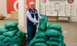 Kapıkule'de midye, Sabiha Gökçen'de tıbbi sülük operasyonu: 1,5 milyon TL'lik ceza