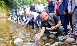 İYİ Parti İGM üyesi Cebeci: Bir yanda alabalık salımı, diğer yanda HARŞİT Vadisinin katli, Bu çelişkiyi kabul etmiyoruz
