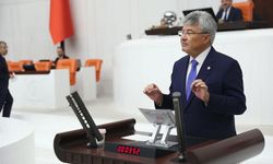 İYİ Partili Ergun, Zeytin fiyatlarını TBMM gündemine taşıdı.