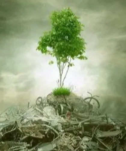 ÇED 'gerekli değil' kararı kaldırıldı! Yönetmelikle süreçler değişti