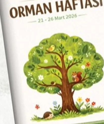 MEB'den 'Orman Haftası' için okul öncesi etkinlik takvimi