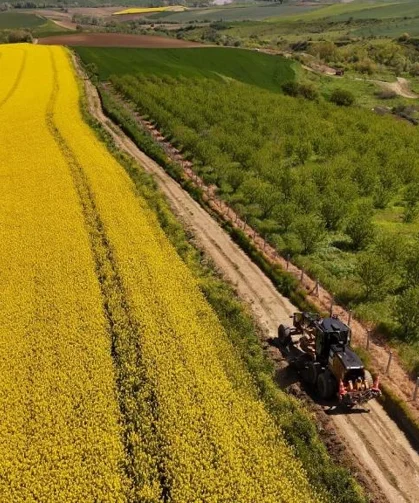 Tarla yolları hasada hazırlanıyor