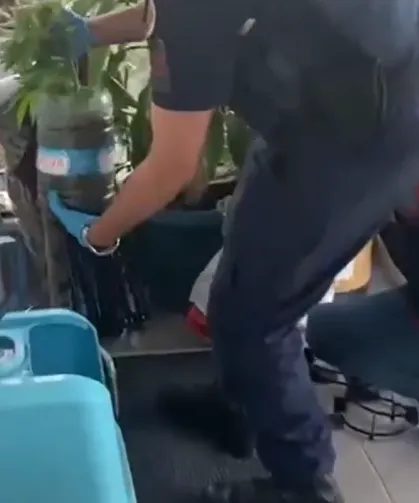 Jandarma'dan 5 ilde uyuşturucuya 341 gözaltı