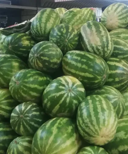 Tarım ürünlerinde üretici fiyatları artışta... En yüksek artış kavun-karpuzda