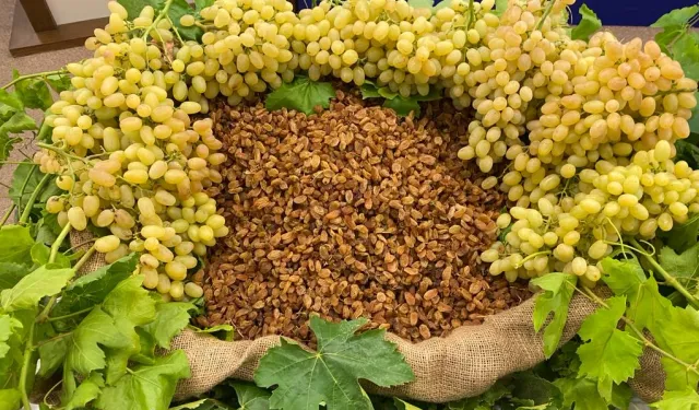 Kuru meyve sektörü 2025'i değerlendirdi