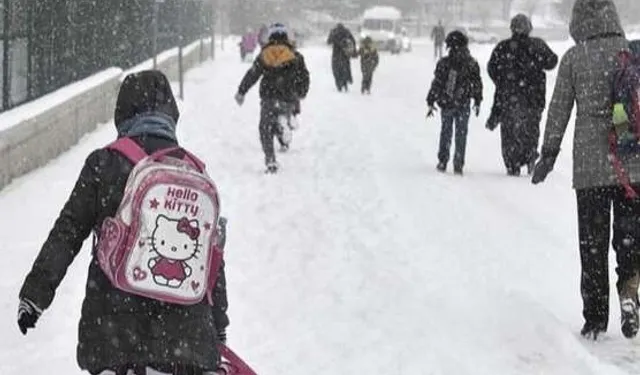 Okullara 1 günlük kar tatili! Tatil haberleri peş peşe geldi