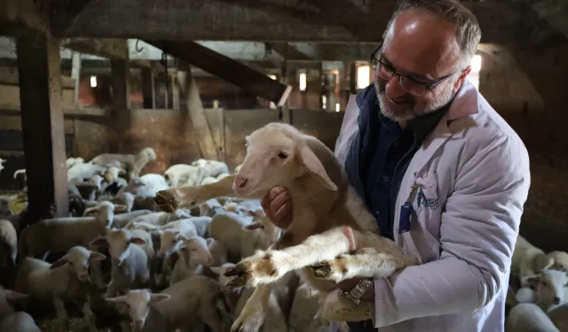 Kocaeli'de 2025 'çiftçinin yılı' oldu... 166 milyon TL destek sağlandı