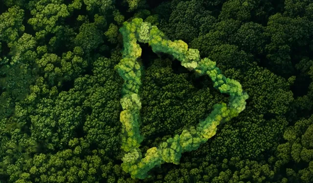 Yeşil Vatan finalistleri belli oldu... Ödüller 19 Ocak'ta