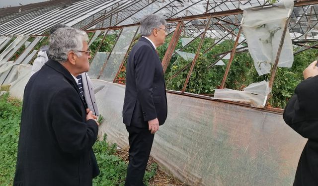 Muğla'da Hortum ve dolu felaketi: İYİ Partili Metin Ergun'dan, Tarım bakanına soru önergesi