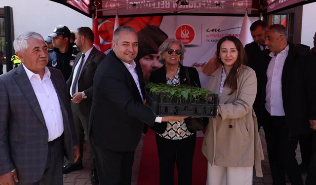 Keçiören'de çiftçilere fide desteği