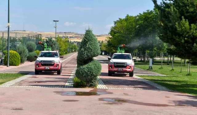 Ankara Büyükşehir'de ilaçlama seferberliği