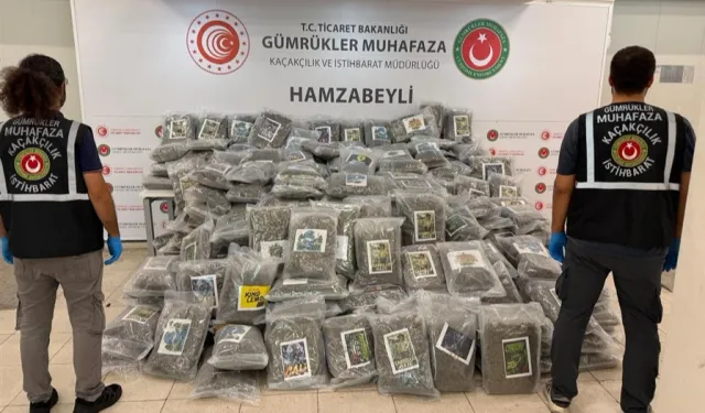Gümrük'te uyuşturucu kaçakçılığına darbe! Hamzabeyli'de 288 kilo esrar ele geçirildi