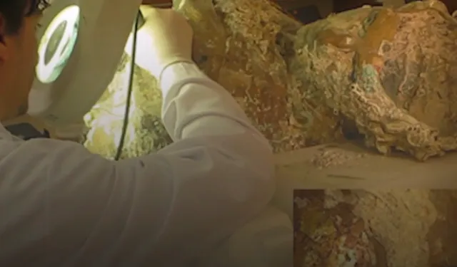 Kültür Varlıkları'ndan 'Toprağın Altından Vitrine' paylaşımı