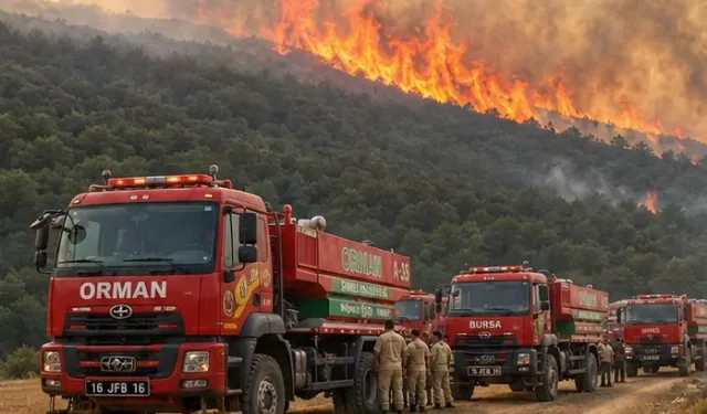 Ormanları yakanlar adaletten kaçamıyor! 27 ilde 70 şüpheliden 16'sı tutuklandı