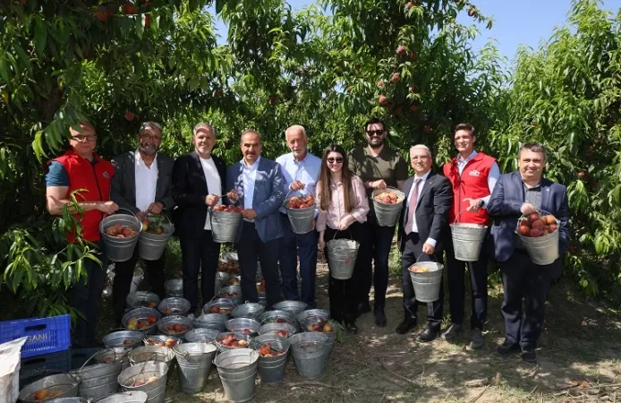 Şeftali ve nektarinde 250 milyon dolar ihracat hedefi