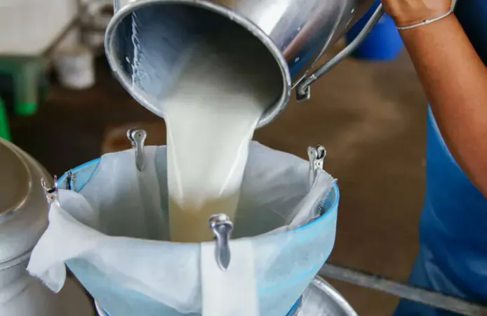 Çiğ süt üreticilerine ilave destek! Mesleki yeterlilik şartı getirildi