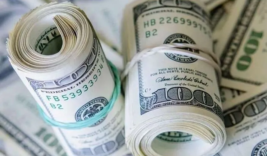 'Merkez'in rezervleri tarihi zirveye ulaştı