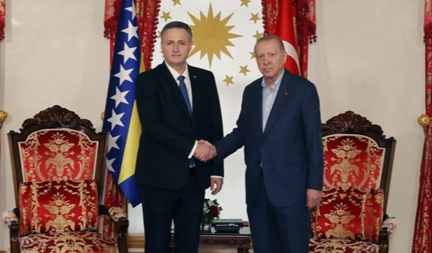 Cumhurbaşkanı Erdoğan, Beçiroviç'i Dolmabahçe'de ağırladı