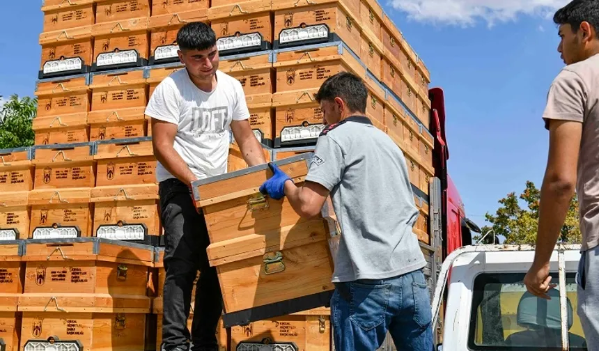 Ankara Büyükşehir'den arıcılara hibeli kovan desteği