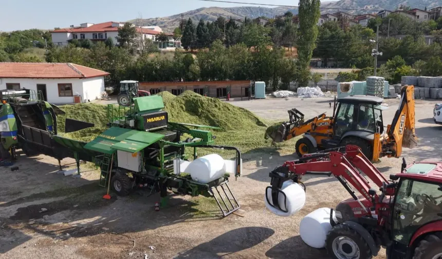 Ankara'da hayvan yetiştiricilerine silaj desteği