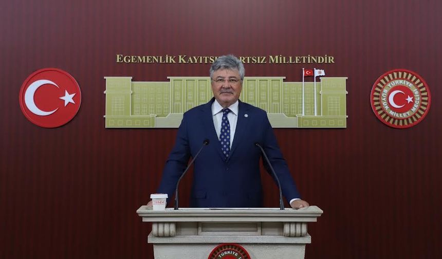 İYİ Partili Ergun'dan, Zeytin üreticileri için 6 maddelik destek çağrısı