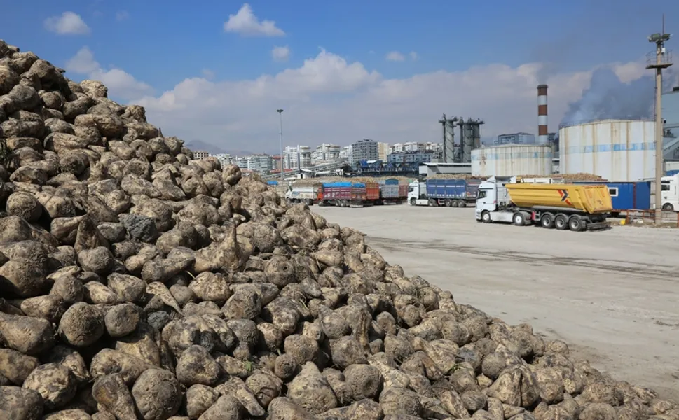 Üretici ortaklara pancar bedelleri ödeniyor