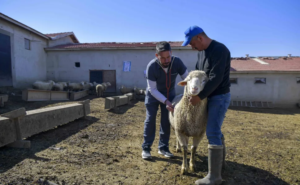 Ankara'da kırsaldaki üreticiye can suyu