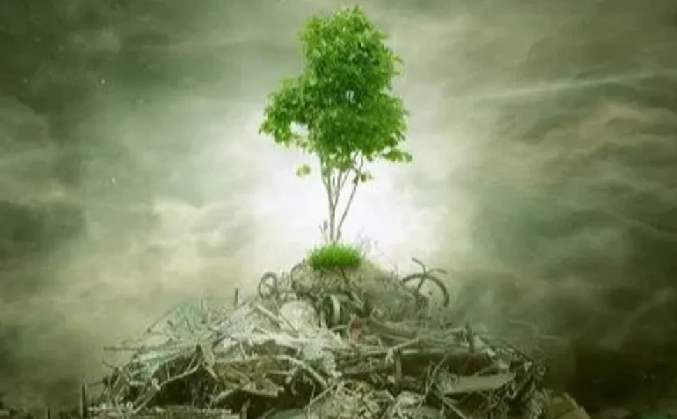 ÇED 'gerekli değil' kararı kaldırıldı! Yönetmelikle süreçler değişti