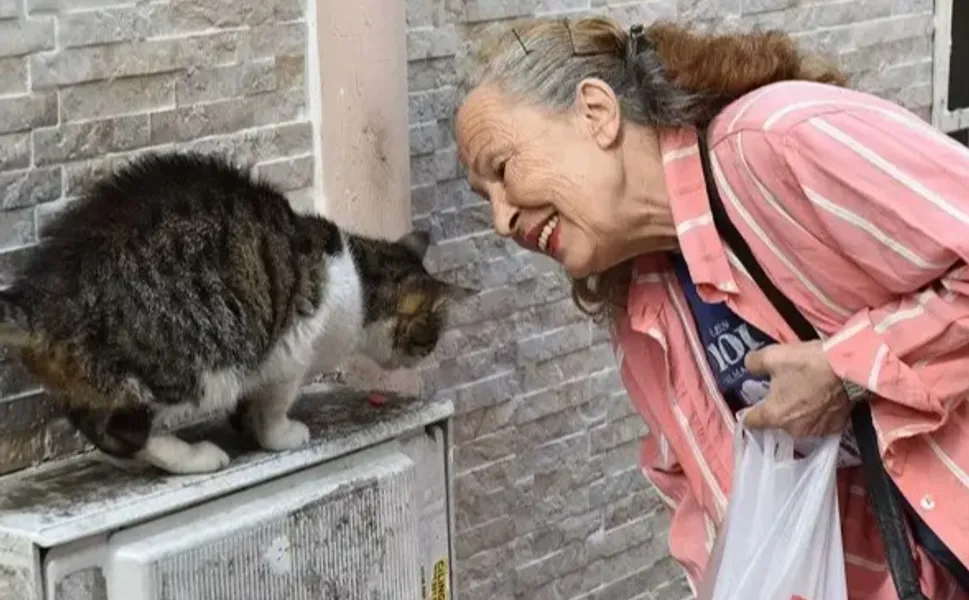 Sokak hayvanlarının 'Panter Emel'i hayatını kaybetti