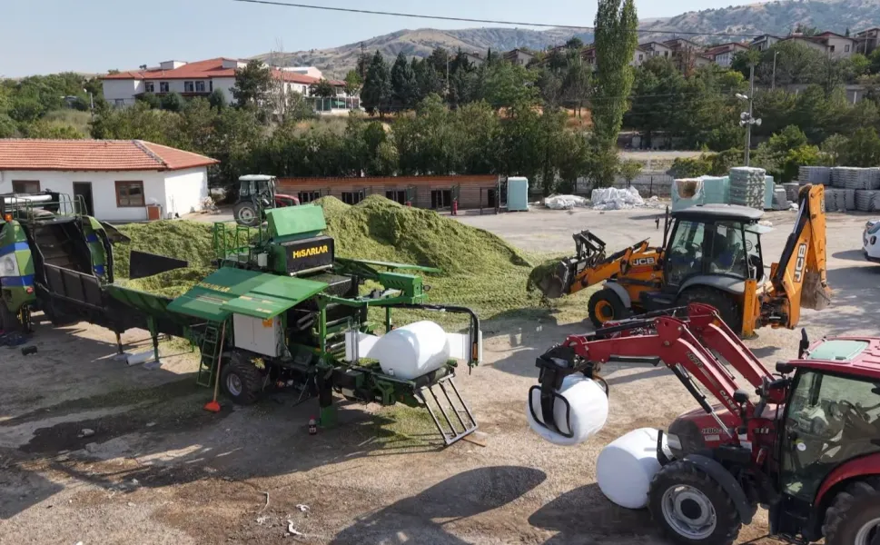 Ankara'da hayvan yetiştiricilerine silaj desteği