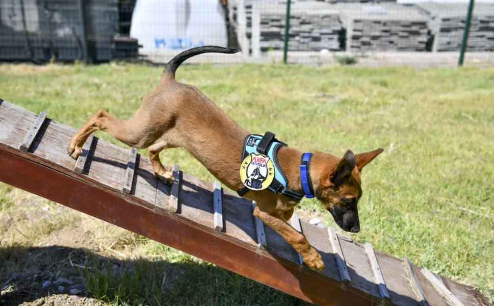 K9 ekipleri Başkent'te 7/24 görevde