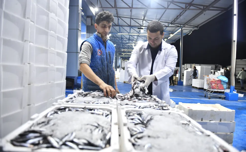 Ankara Balık Hali'nde sıkı denetim