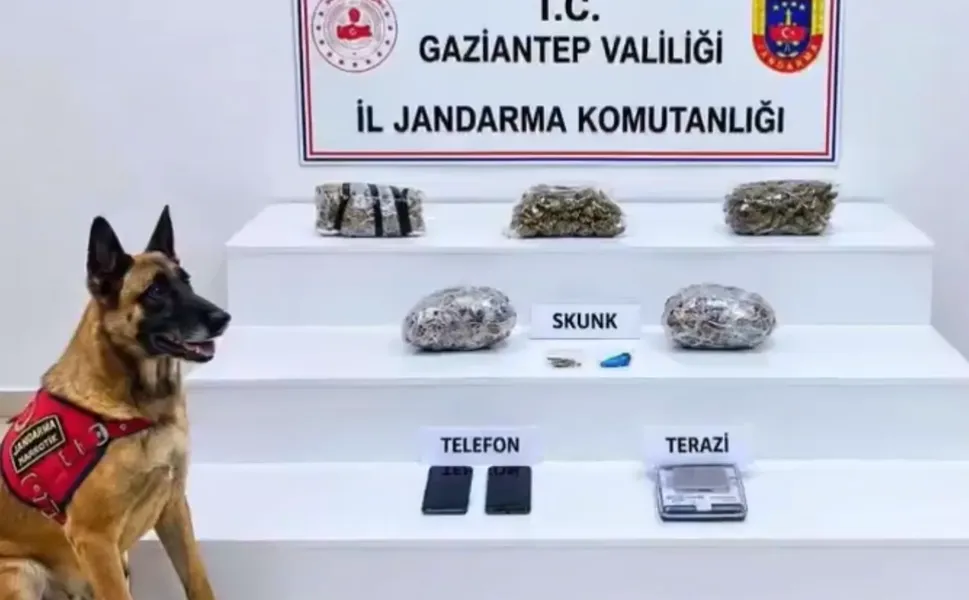 32 ilde yüzlerce kilo uyuşturucu ele geçirildi