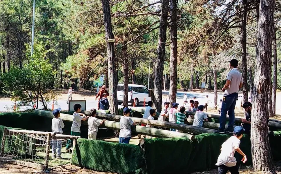 Devlet korumasında 2.240 çocuk yararlandı